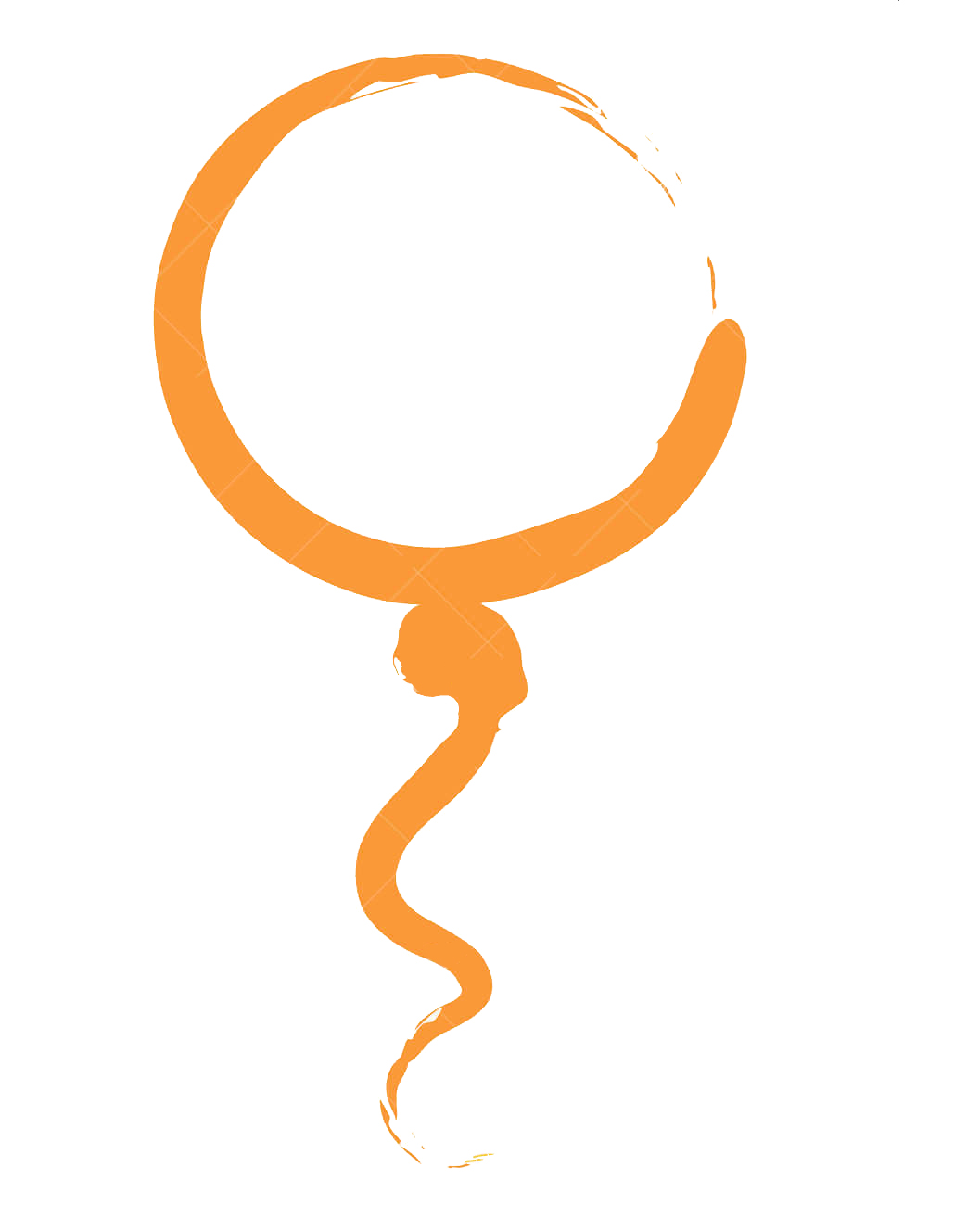 开云体云app官网入口