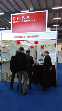 开云体云app官网入口