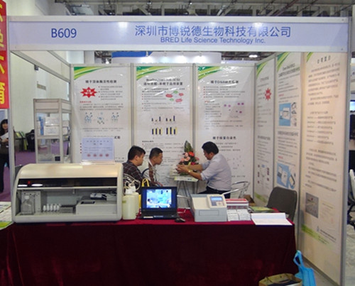 开云体云app官网入口