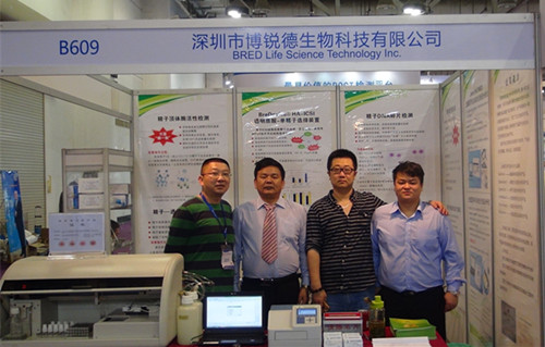 开云体云app官网入口