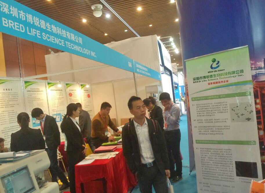 开云体云app官网入口