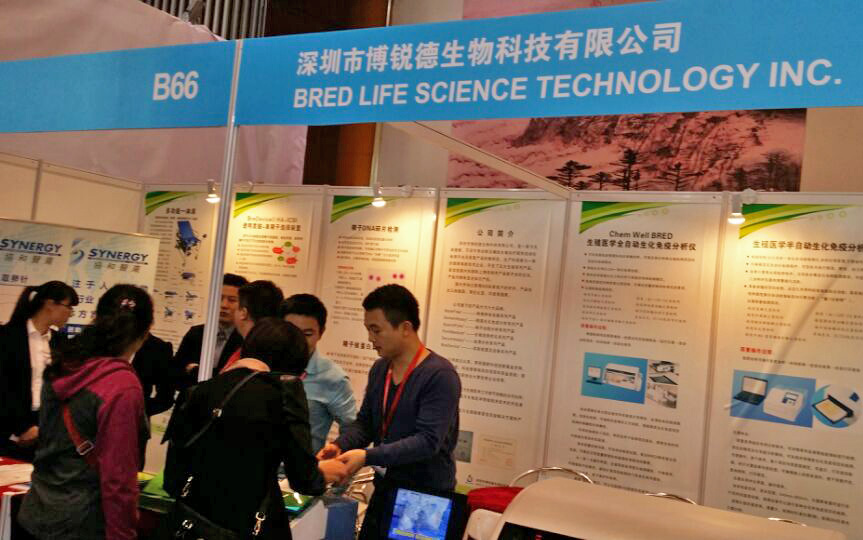 开云体云app官网入口