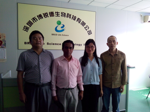 开云体云app官网入口