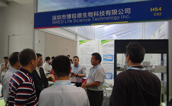 开云体云app官网入口