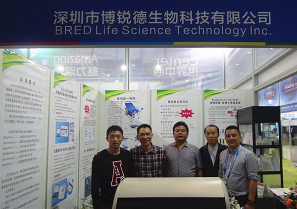 开云体云app官网入口