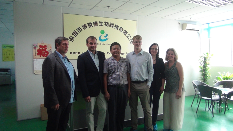 开云体云app官网入口