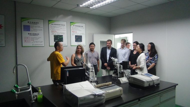 开云体云app官网入口