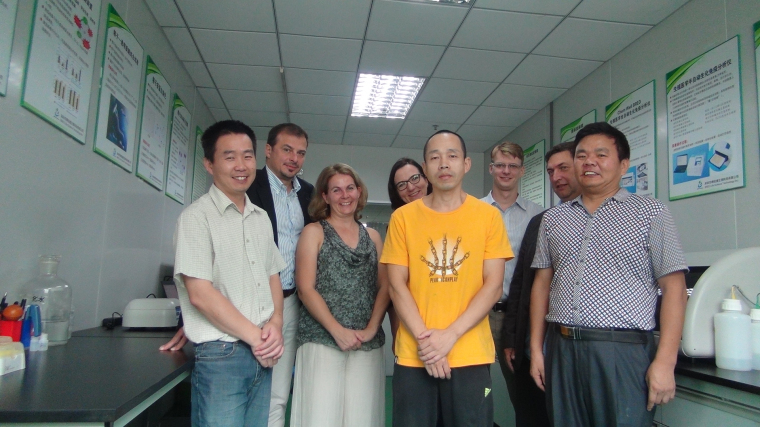 开云体云app官网入口