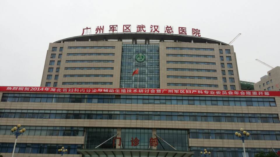 开云体云app官网入口