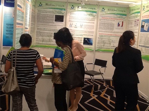 开云体云app官网入口