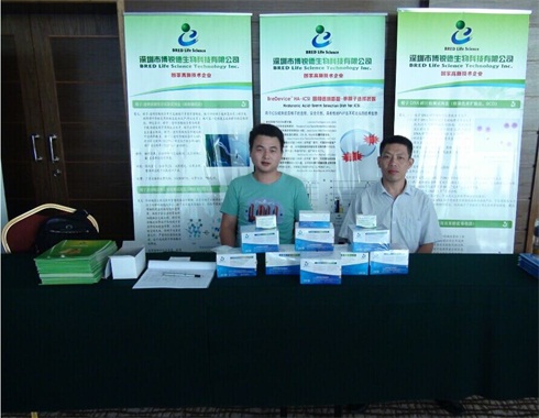 开云体云app官网入口