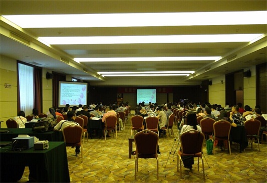 开云体云app官网入口