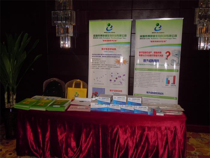 开云体云app官网入口