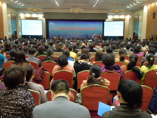 开云体云app官网入口