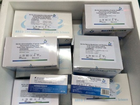 开云体云app官网入口