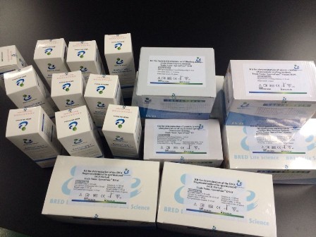 开云体云app官网入口