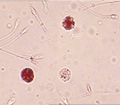 开云体云app官网入口