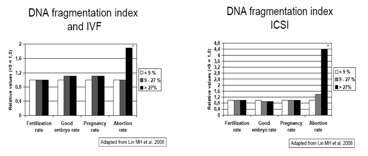 开云体云app官网入口