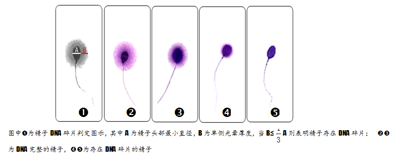 开云体云app官网入口