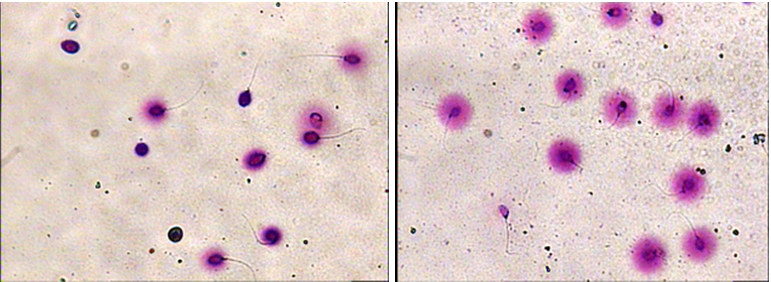 开云体云app官网入口