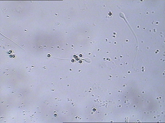 开云体云app官网入口