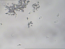 开云体云app官网入口