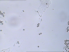 开云体云app官网入口