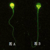 开云体云app官网入口