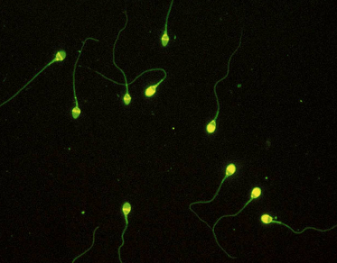 开云体云app官网入口