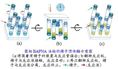 开云体云app官网入口