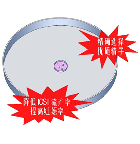 开云体云app官网入口