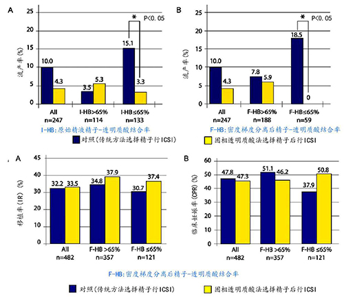 开云体云app官网入口