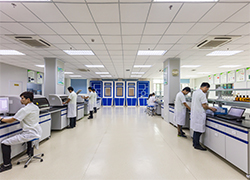 开云体云app官网入口