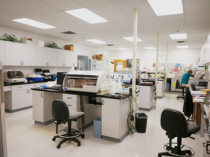 开云体云app官网入口