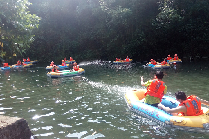 开云体云app官网入口