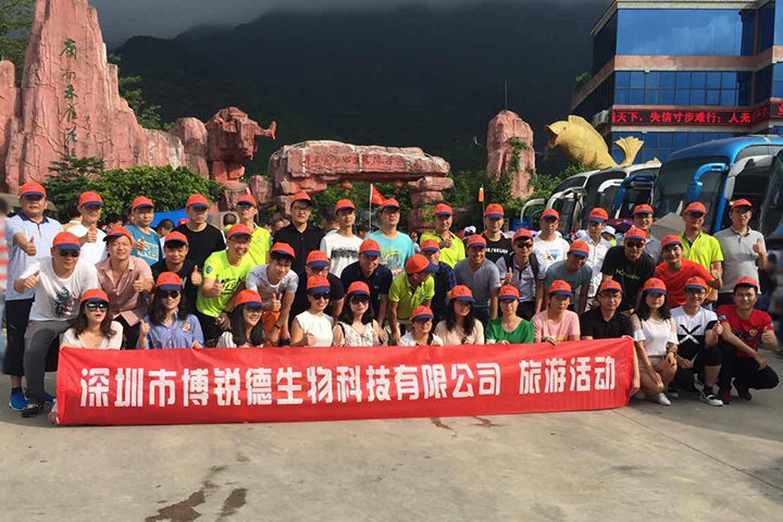 开云体云app官网入口