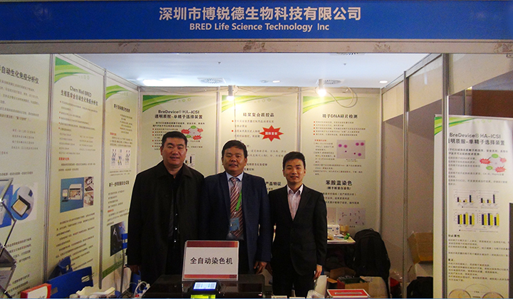 开云体云app官网入口