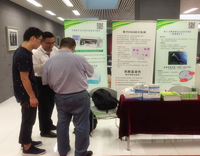 开云体云app官网入口