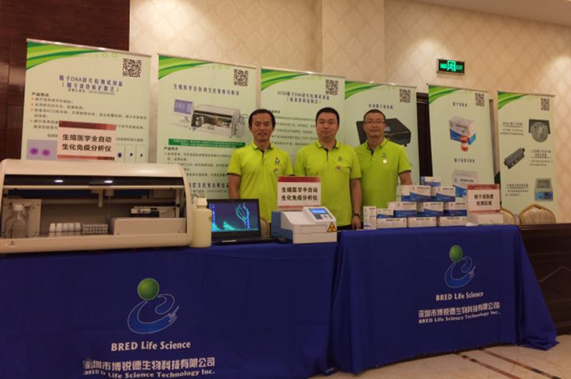 开云体云app官网入口