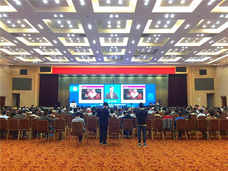 开云体云app官网入口