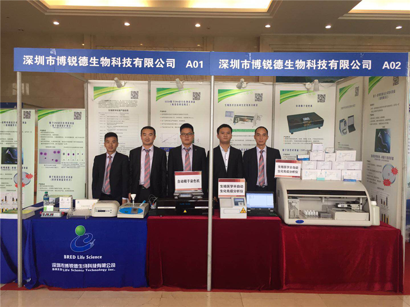 开云体云app官网入口