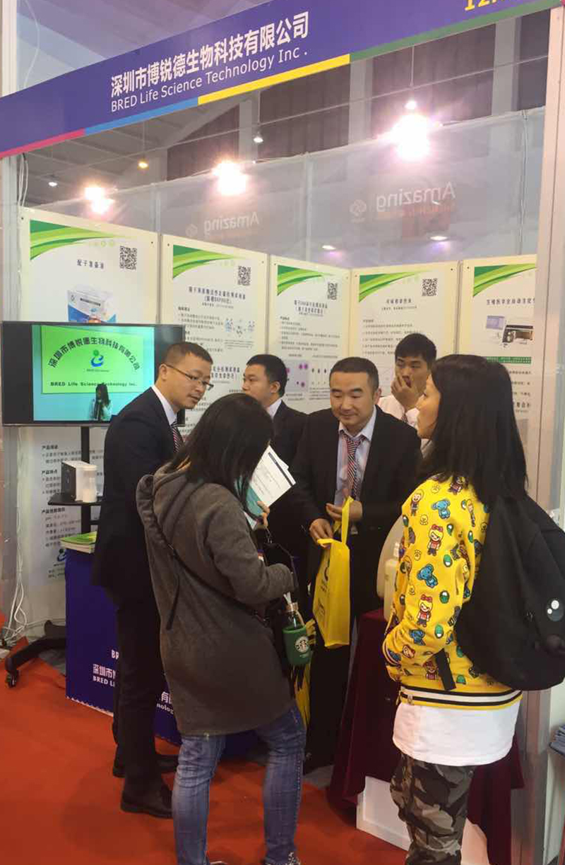 开云体云app官网入口