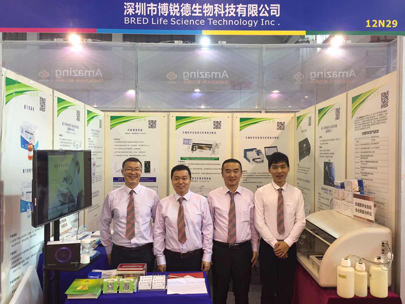 开云体云app官网入口