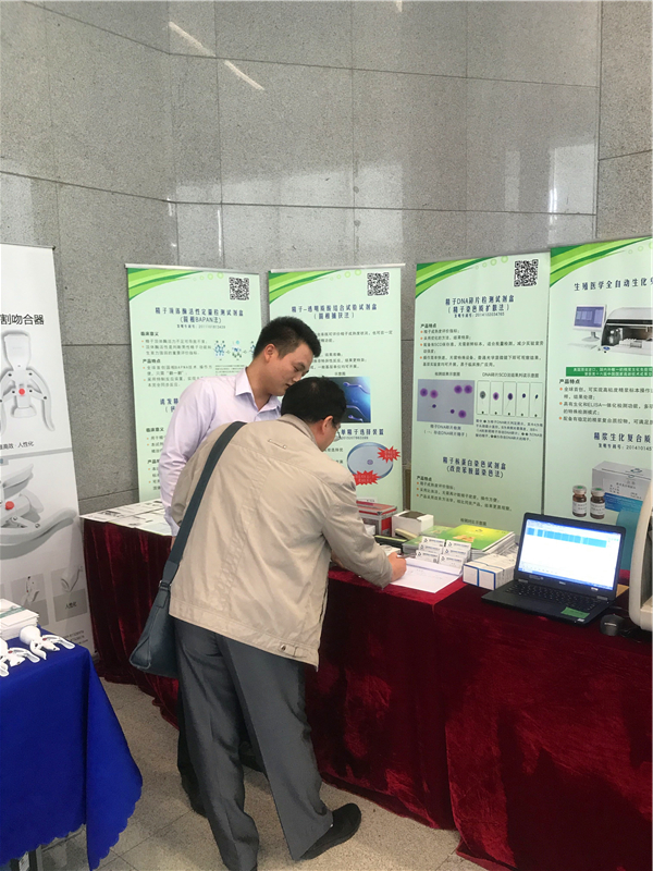 开云体云app官网入口