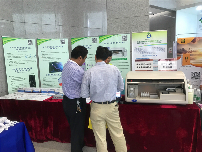 开云体云app官网入口