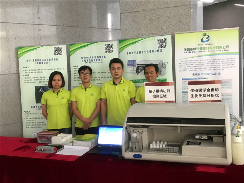 开云体云app官网入口