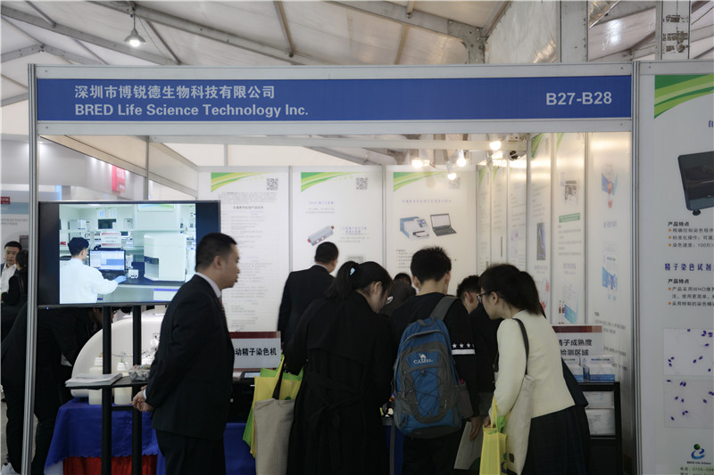 开云体云app官网入口