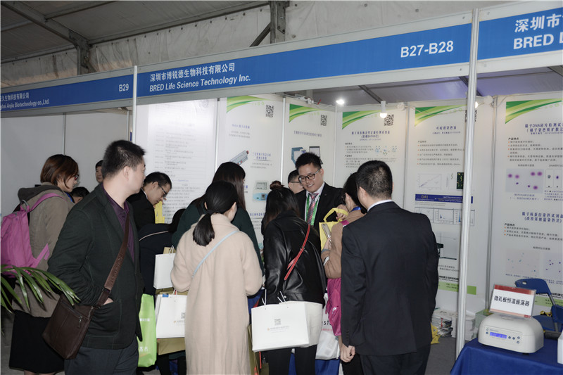 开云体云app官网入口