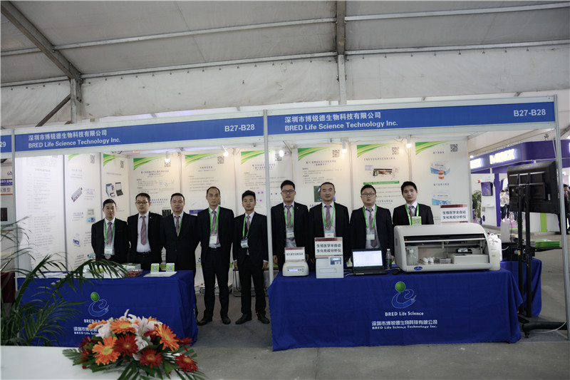 开云体云app官网入口