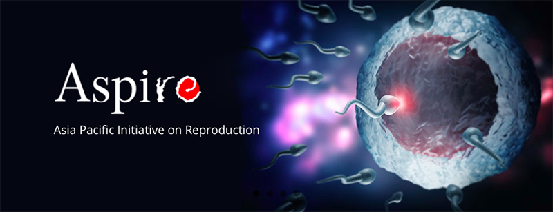 开云体云app官网入口